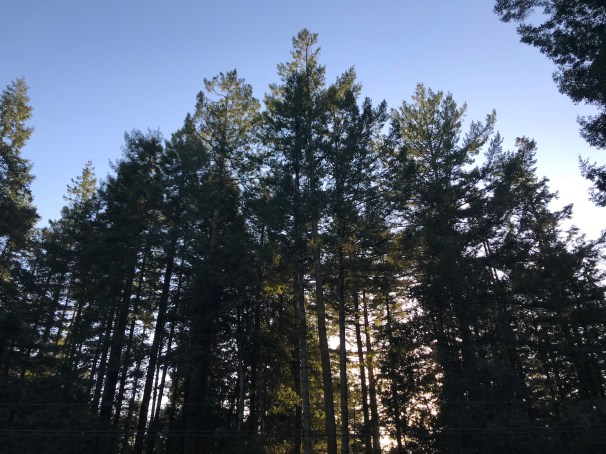 h4UpCHewQ02v333qx6k0%g