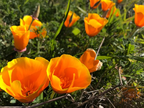 VWzdkI6VSIqbOjoybWoe0A