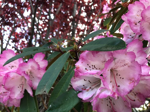 dTB2pEM1QmivUvj11MI8JQ