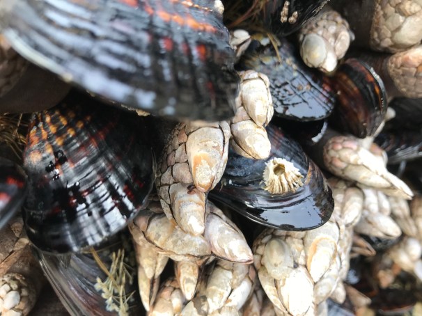 EFHjz%ImTS2TfmFSwknXCw