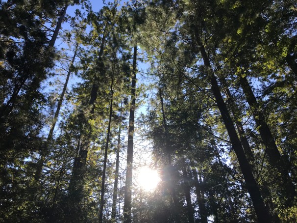 jmIHZjCsSCWt%y8bzsFo9w