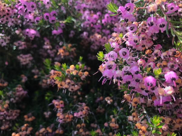 JxvnKX8AQ9CuflzA9A4ivw