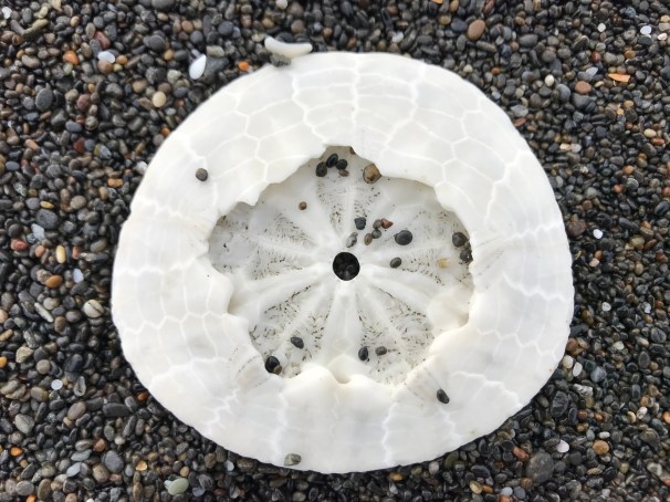 MZd0mBIHSqiAp9qXX1xtxA