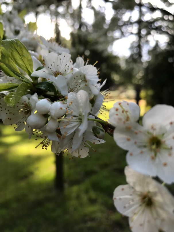 NhwR6AVVSCuO9SJASrQEyg