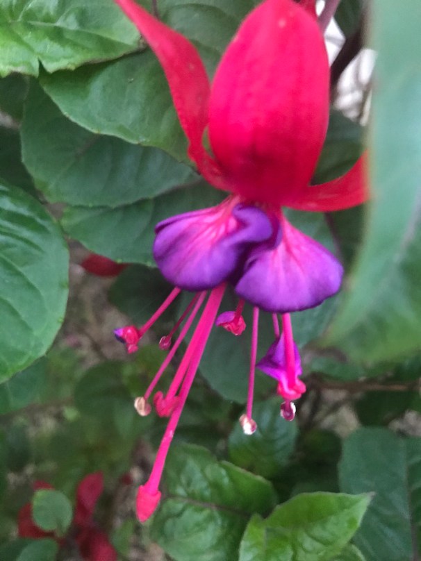 TuwPuRWPSB+uciaCq%LwRw