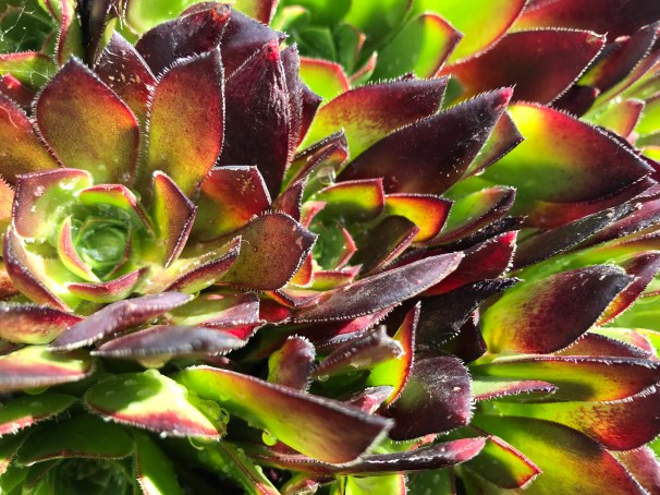 XYQFBYtYT%m8asS7m1OoRw