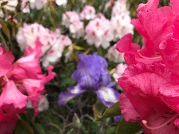 9TtjPj6aTTavXFiUG6Oz2Q