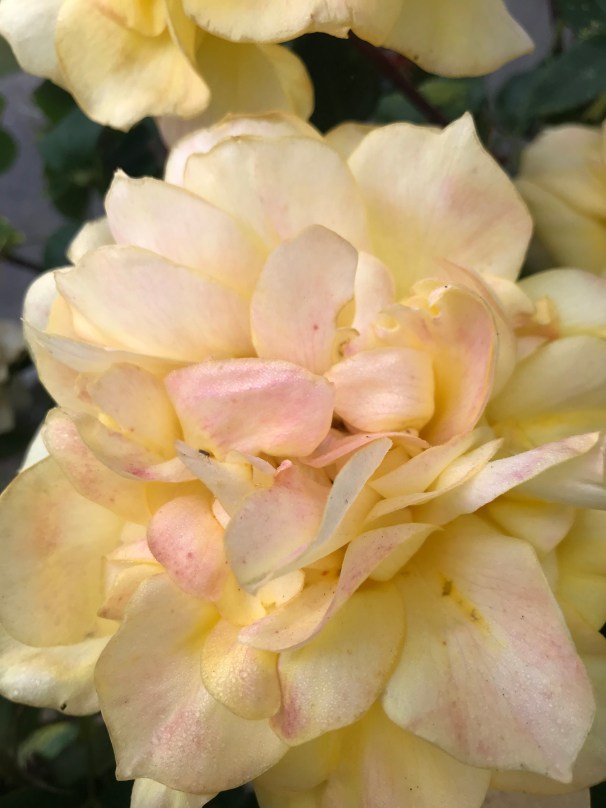 B4wY46K3Qm6+Xo2Rsk27rA