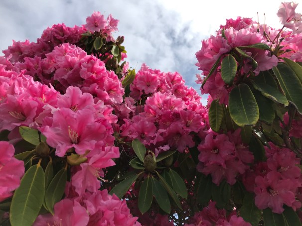 Bv3mk1gASI+031gbLJaL6w