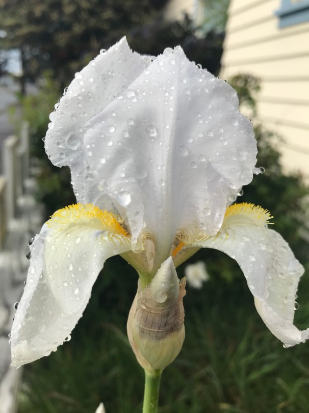 8%gTw2W5TYKsRwNiSc36Aw