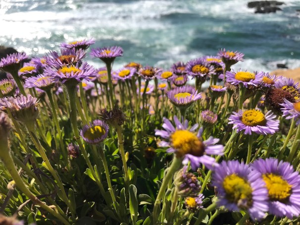 vOPQYg1tTS+JW1eL91K8ng