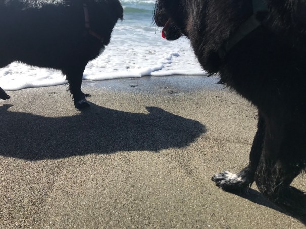 yXCt6sq6QduV3Qb7c5Secw